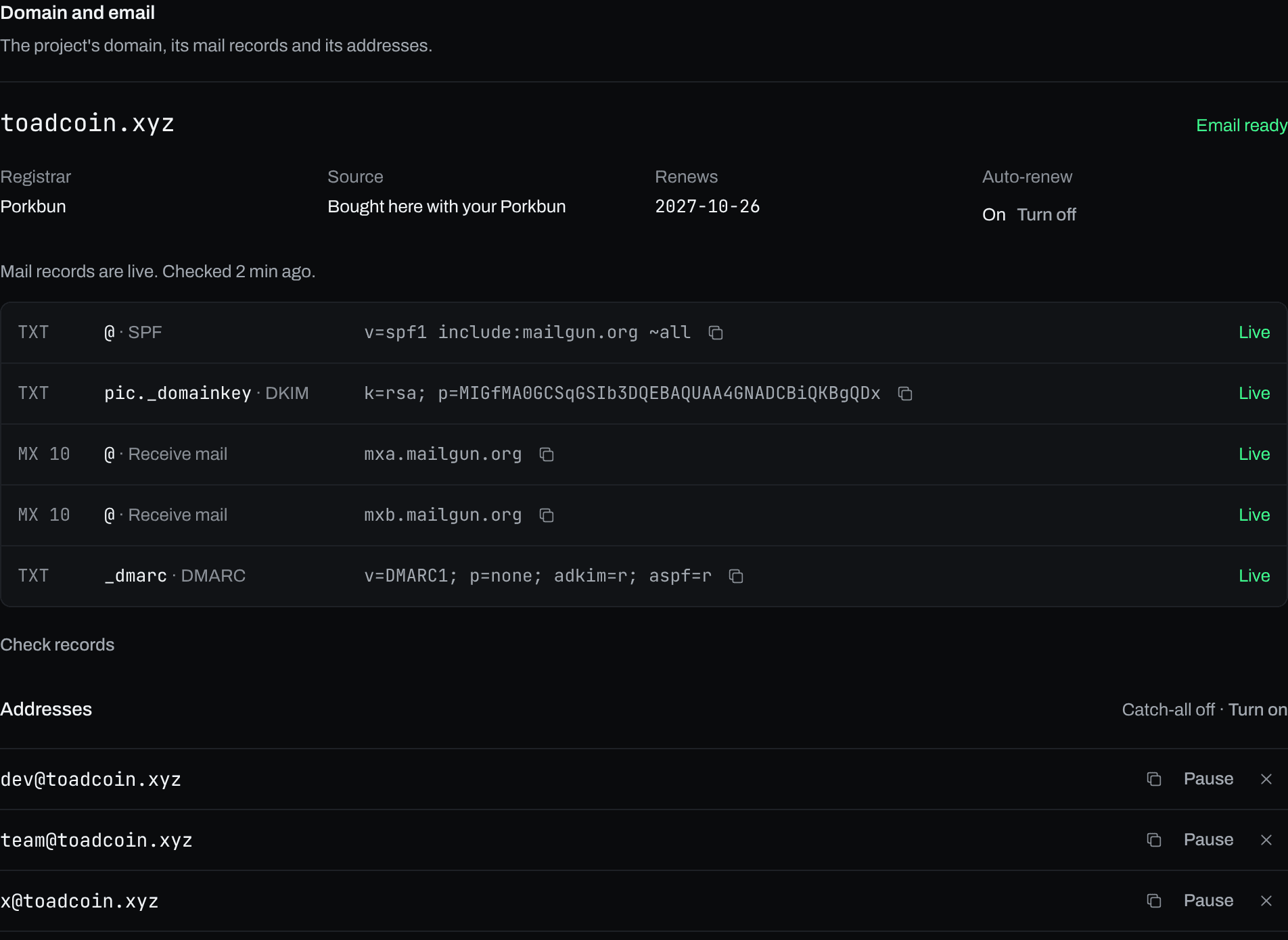 A project's domain with its mail records marked live and its dev@ and team@ addresses.